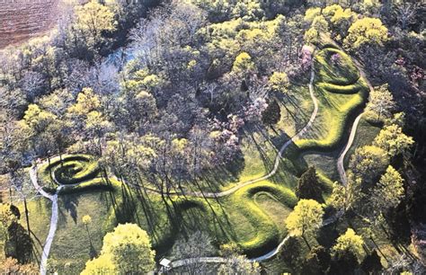  Snake Mound? Geometry in Nature and Symbolism Undermined by Unruly Grass